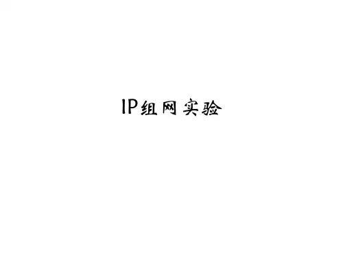 IP组网实验.ppt