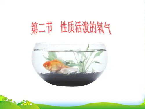 沪教版化学九年级 2.1 性质活泼的氧气 (共18张PPT)
