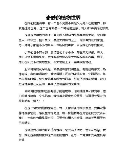 奇妙的植物世界 中英互译