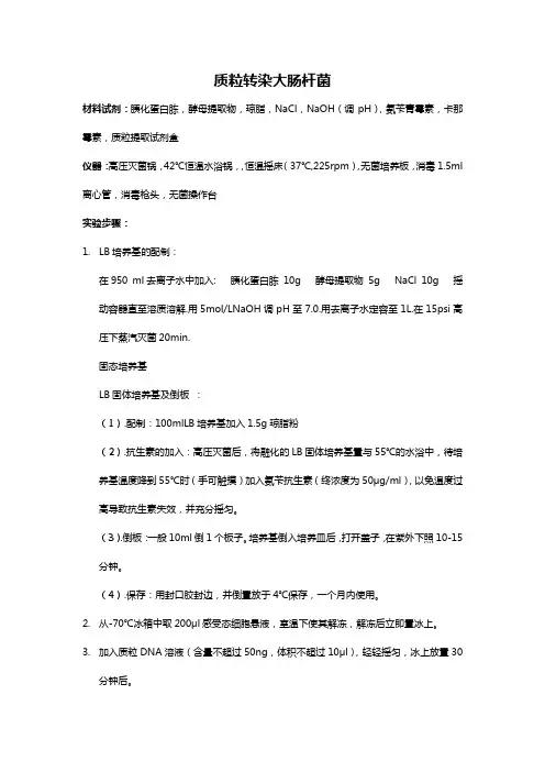 质粒转染实验步骤