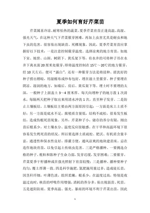 夏季如何育好芹菜苗