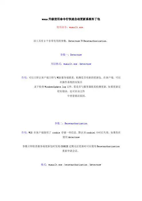 wsus升级使用命令行快速自动更新系统补丁包