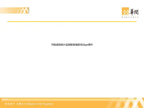 节能减排统计监测报表填报培训ppt课件