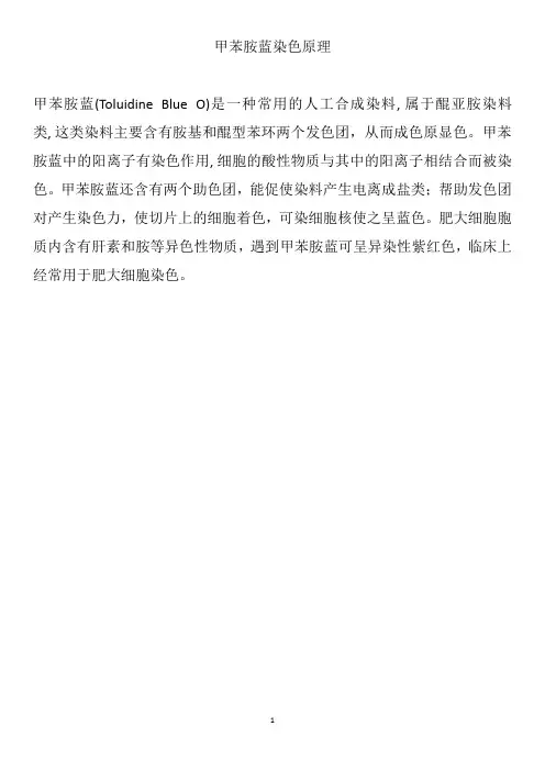 甲苯胺蓝染色原理