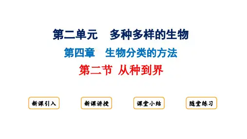 从种到界     课件 (共25张PPT) 生物学人教版七年级上册