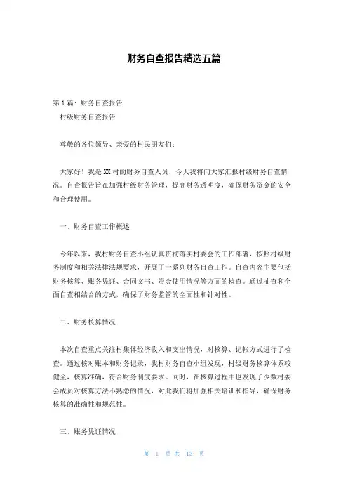 财务自查报告精选五篇