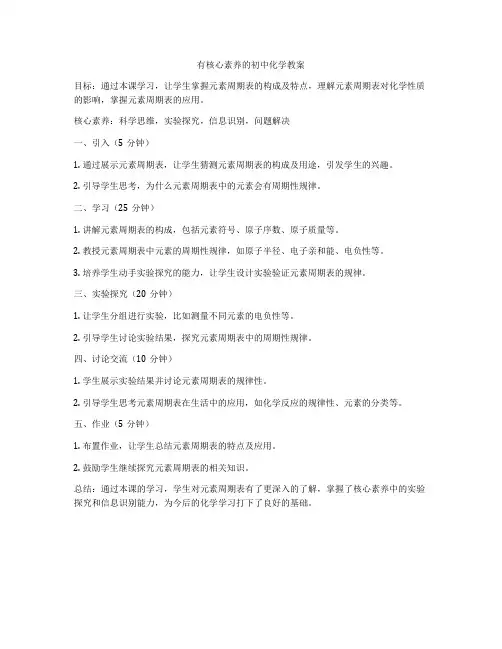 有核心素养的初中化学教案