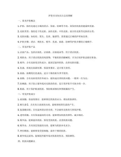 护肤名词知识点总结图解