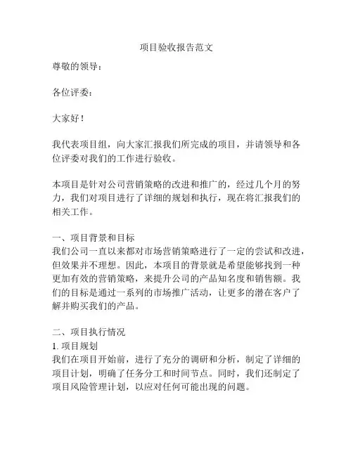 项目验收报告范文