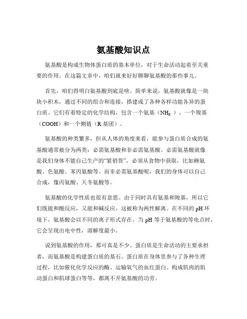 氨基酸知识点