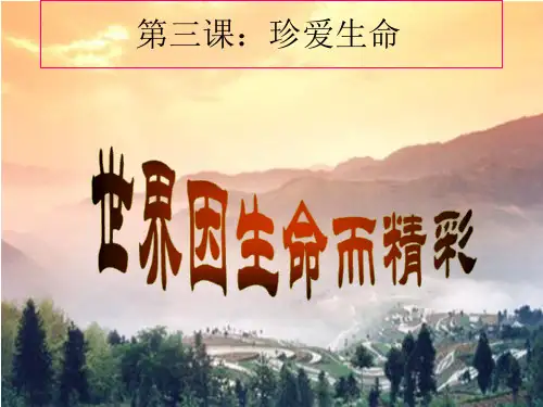 第三课  珍爱生命