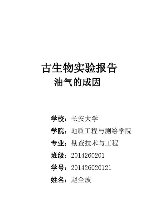 油气的成因