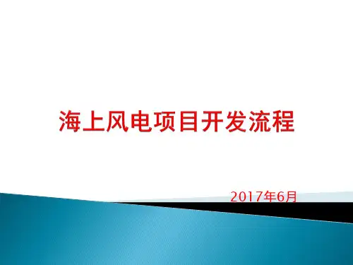 海上风电项目开发流程
