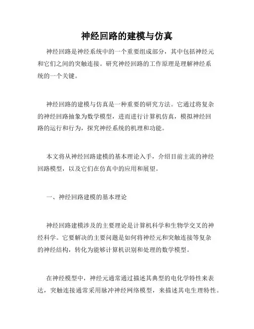 神经回路的建模与仿真