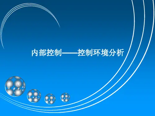 内部控制—控制环境