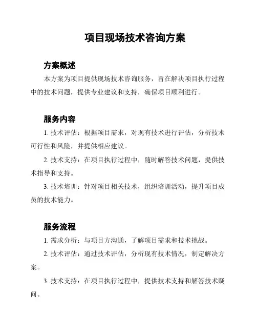 项目现场技术咨询方案