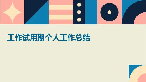 工作试用期个人工作总结PPT