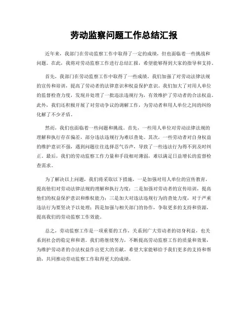 劳动监察问题工作总结汇报