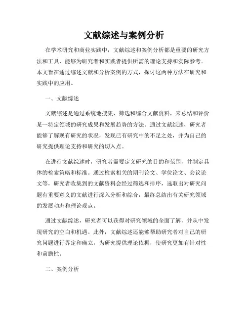 文献综述与案例分析