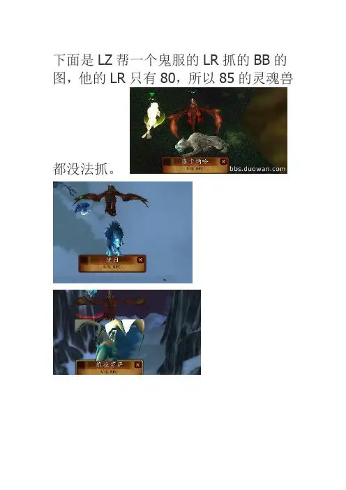 魔兽世界10秒火速抓灵魂