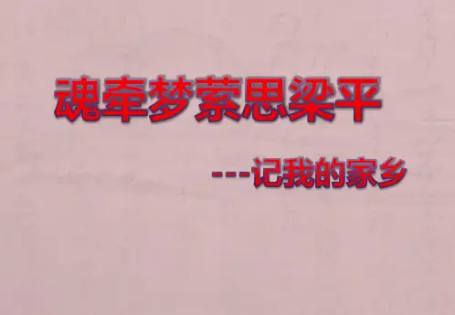 我的家乡—重庆梁平.