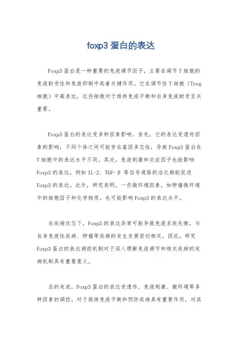 foxp3蛋白的表达