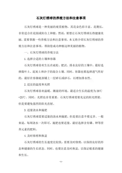 石灰灯绣球的养殖方法和注意事项