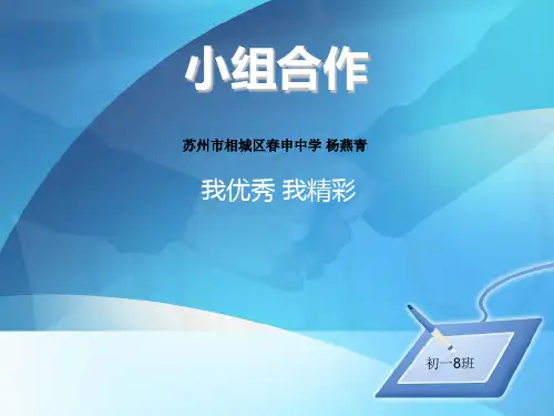 小组合作演示介绍 PPT课件