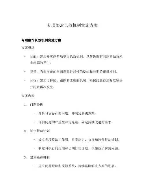 专项整治长效机制实施方案