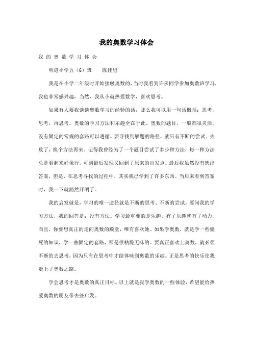 我的奥数学习体会_小学五年级作文500字