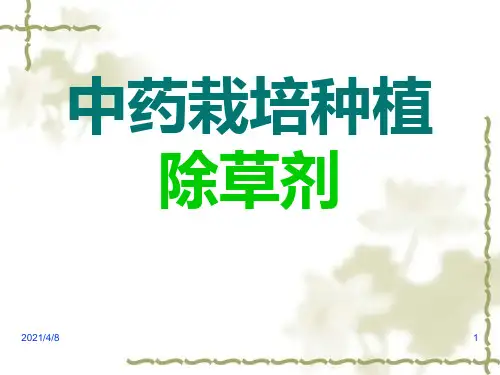 除草剂PPT课件