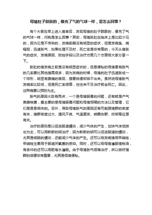 母猪肚子鼓鼓的，像充了气的气球一样，是怎么回事？