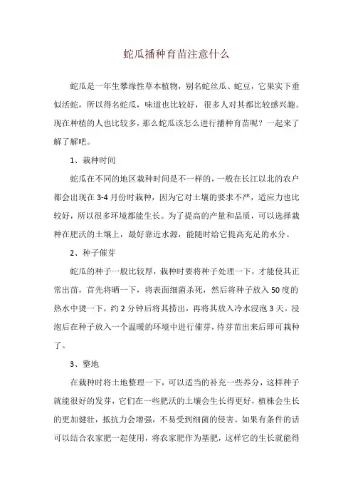 蛇瓜播种育苗注意什么