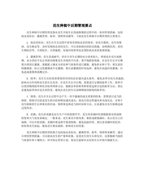 花生种植中后期管理要点