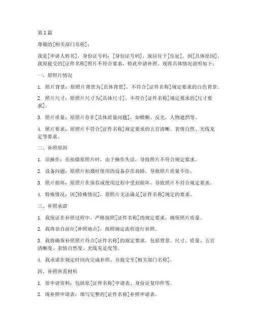 补照情况说明申请书模板(3篇)
