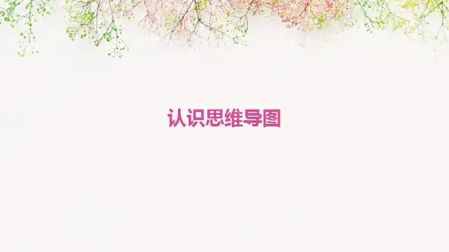 认识思维导图ppt