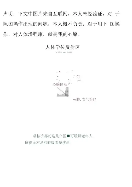 人体学位反射区