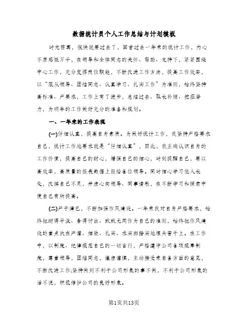 数据统计员个人工作总结与计划模板（5篇）