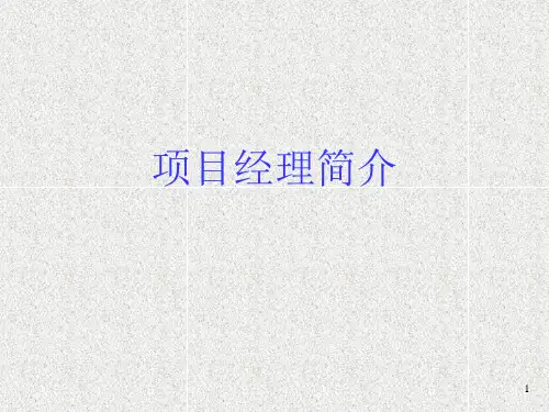 项目经理简介ppt课件