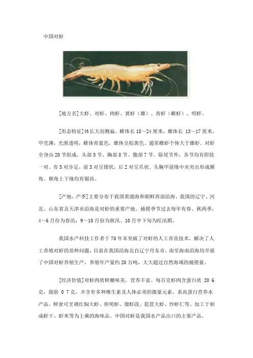 认识各种虾(组图)解读