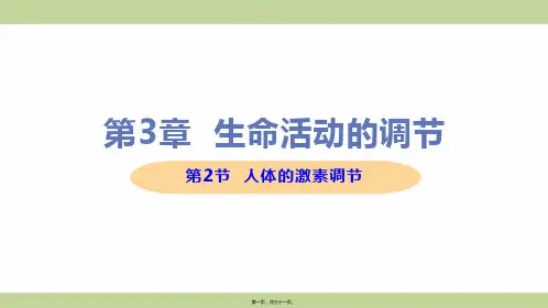新浙教版八年级上册初中科学 第2节 人体的激素调节 教学课件