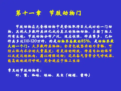 普通动物学：第十一章 节肢动物门