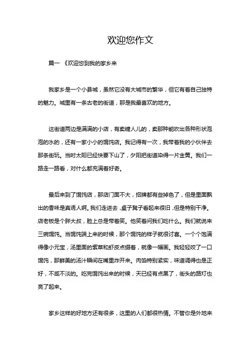 欢迎您作文