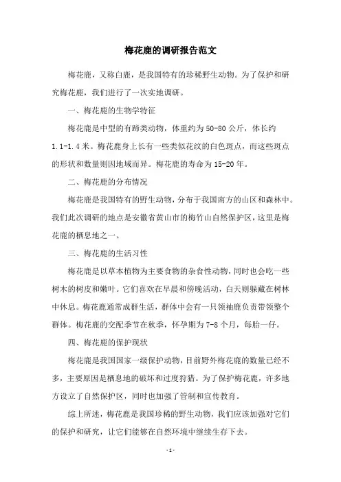 梅花鹿的调研报告范文