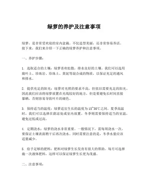绿萝的养护及注意事项