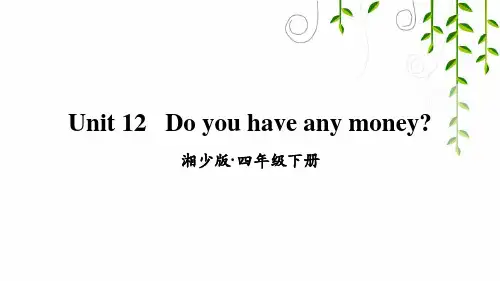 湘少版四年级英语下册Unit 12   Do you have any money