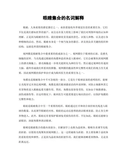 眼睛集合的名词解释