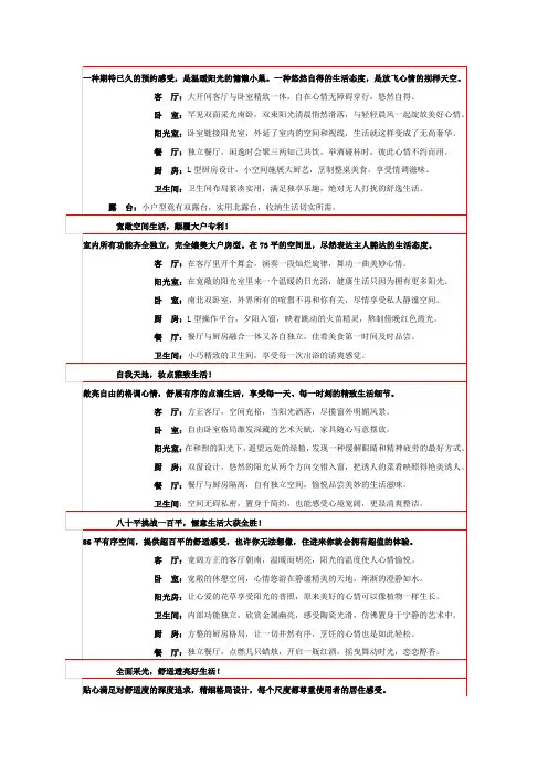 经典十大户型说明文案