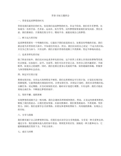 青春 目标主题班会