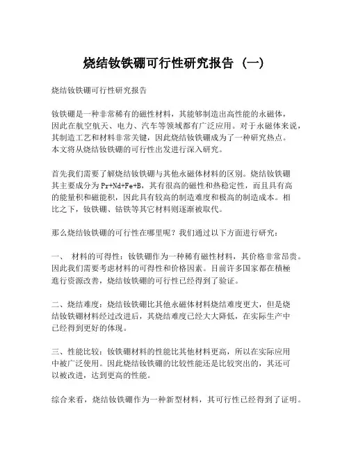 烧结钕铁硼可行性研究报告 (一)